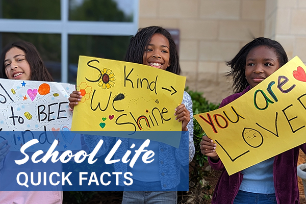 school_life image School Life quick facts picture