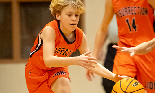 clinic image basketball