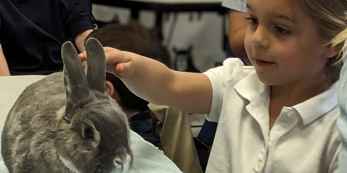 preschool image