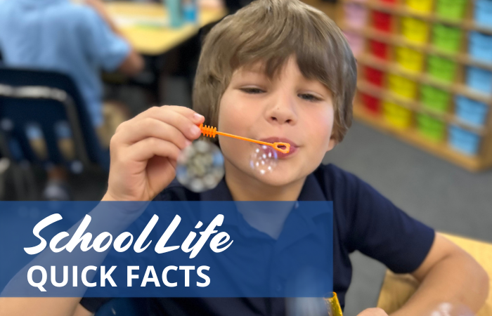 school_life image School Life quick facts picture
