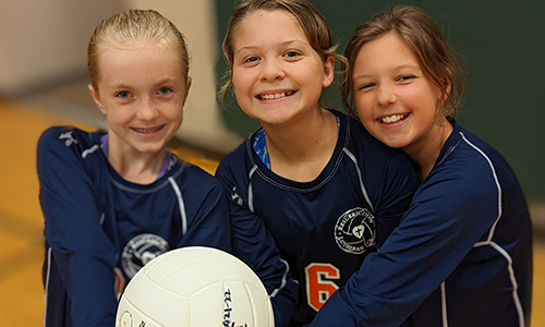 vollyball image vollyball